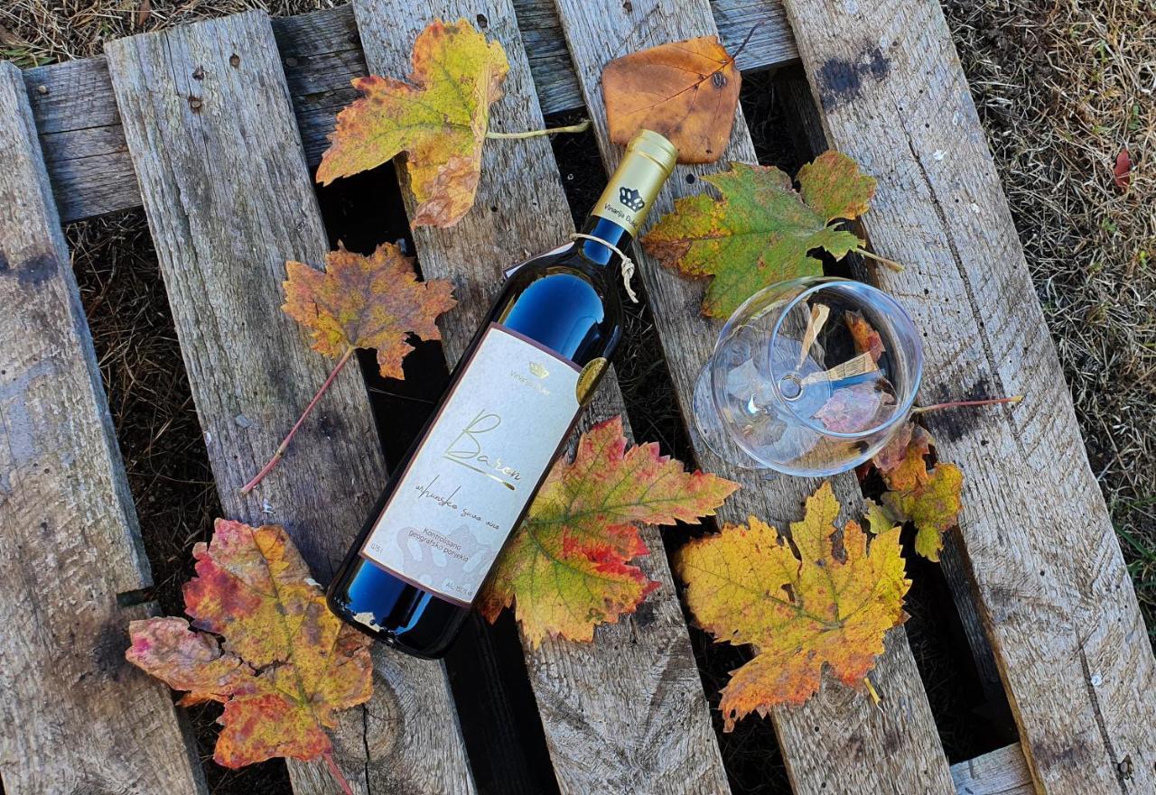 شقة Djukic Winery بودغوريتْسا المظهر الخارجي الصورة
